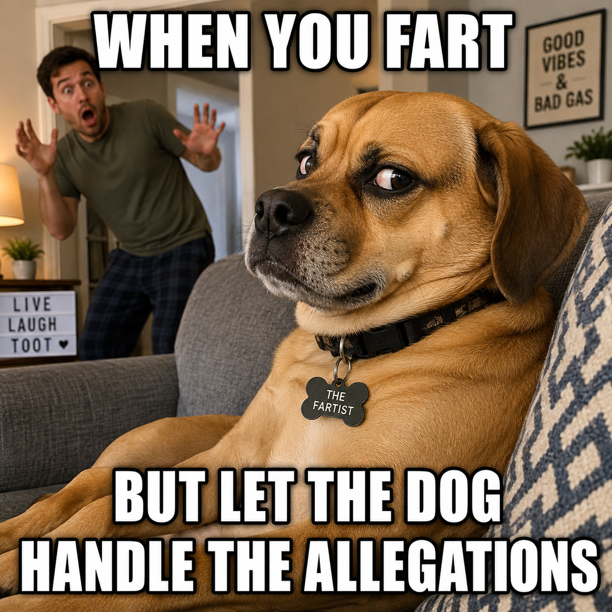 When You Fart But Blame the Dog fart meme